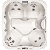 СПА бассейн Jacuzzi Premium J 325 213x193x86 см чаша Platinum обрамление Silver Wood