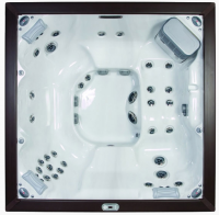 СПА бассейн Jacuzzi Premium J-LXL 213x213x91 см чаша Opal обшивка Roasted Chesnut (с доп. изоляц. и музыкой)