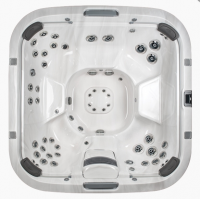 СПА бассейн Jacuzzi Premium J 585 231x231x92 (107) см чаша Platinum обрамление Silver Wood (со стереосистемой)