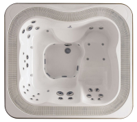 Переливной СПА бассейн Jacuzzi Professional Profile Pro 235x211x93 см Base, чаша White, обшивка Тик