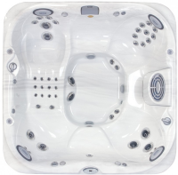 СПА бассейн Jacuzzi Premium J 375 231x231x97 см чаша Silver Pearl обшивка Silver Wood (с доп. изоляц. и музыкой)