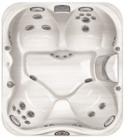 СПА бассейн Jacuzzi Premium J 325 213x193x86 см чаша Silver Pearl обрамление Silver Wood (с доп.изол. и музыкой)