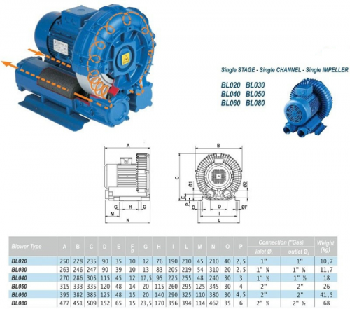 Компрессор низкого давления Aquaviva BL060 (318m3/h, 2,2kW)