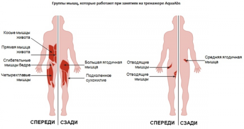 Подводный тренажер Aquagym AquaAbs