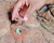 Элемент для ручья Heissner Цвет песочный, 68 x 87 см